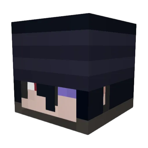bradenisverycool Minecraft avatar head, 3D render