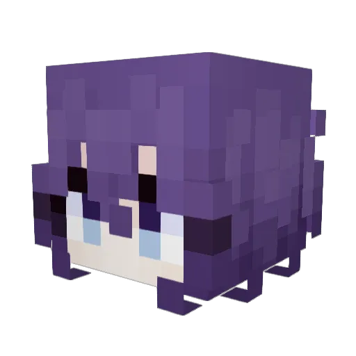 bradensekai Minecraft avatar head, 3D render