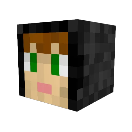 bradenwh Minecraft avatar head, 3D render