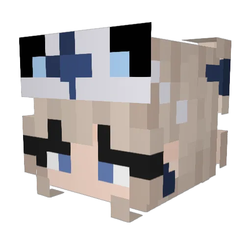 bradical420 Minecraft avatar head, 3D render