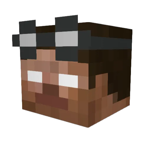 bradin424 Minecraft avatar head, 3D render