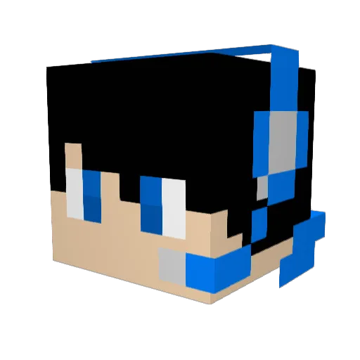 bradisamazing1 Minecraft avatar head, 3D render