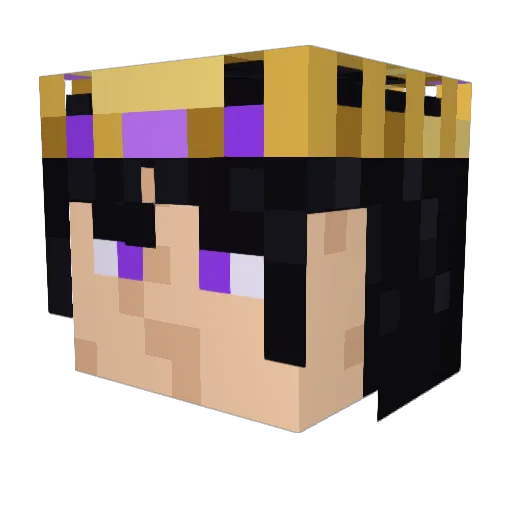 bradkiller Minecraft avatar head, 3D render