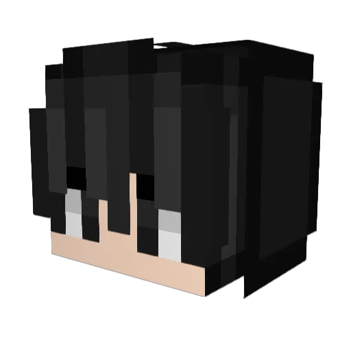 bradl3yy Minecraft avatar head, 3D render