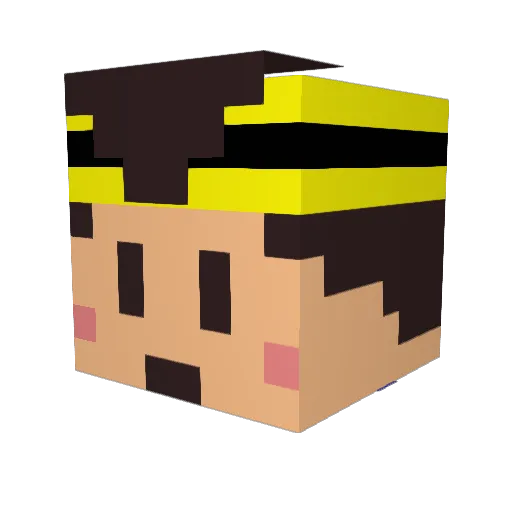 bradley4shizzle Minecraft avatar head, 3D render