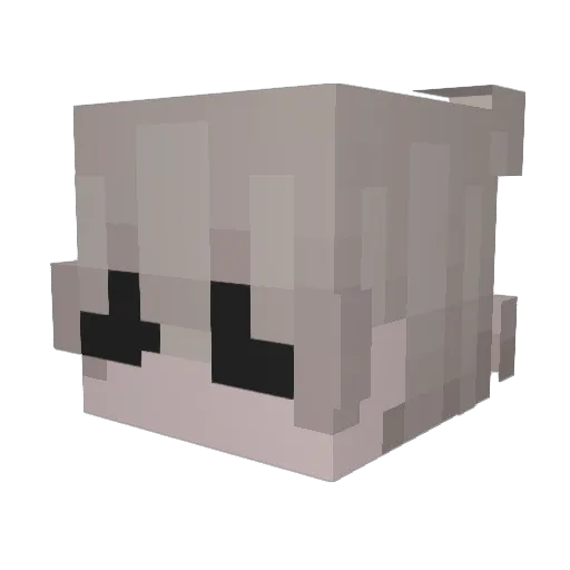 bradn Minecraft avatar head, 3D render