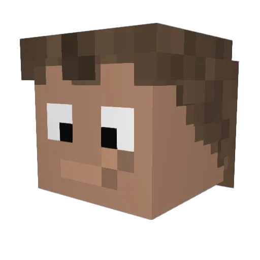 bradohaas Minecraft avatar head, 3D render