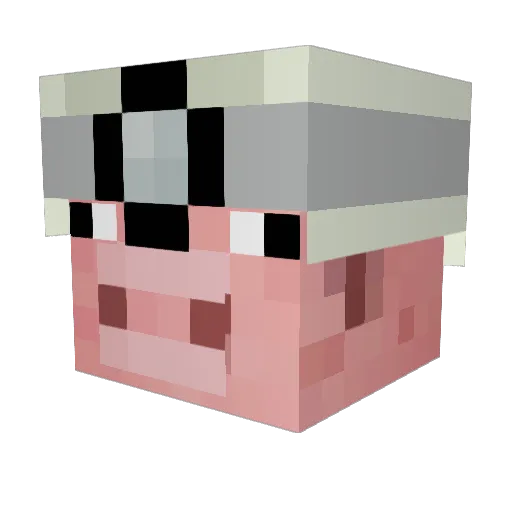 bradp55 Minecraft avatar head, 3D render