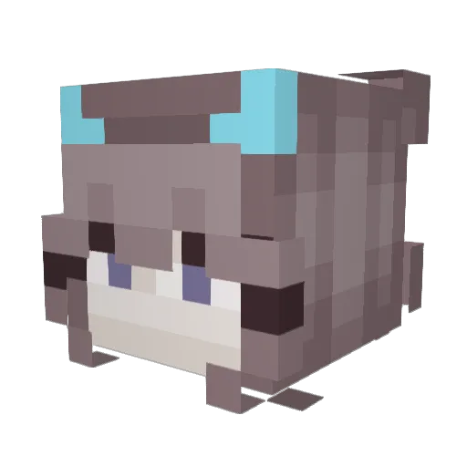 bradsgf Minecraft avatar head, 3D render