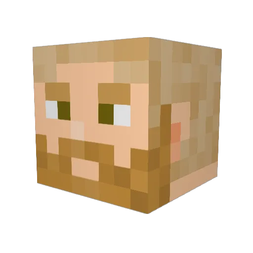 bradster2222 Minecraft avatar head, 3D render