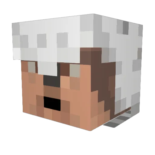 bradwest575 Minecraft avatar head, 3D render