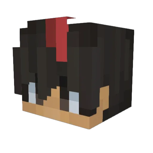 bradyonyt Minecraft avatar head, 3D render