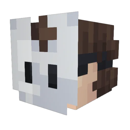 braedboi Minecraft avatar head, 3D render