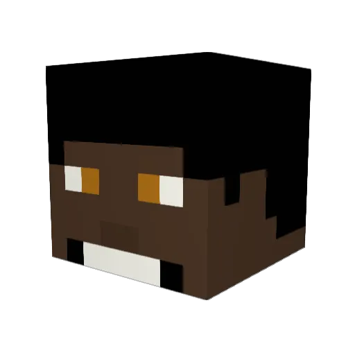 braedonhealy Minecraft avatar head, 3D render