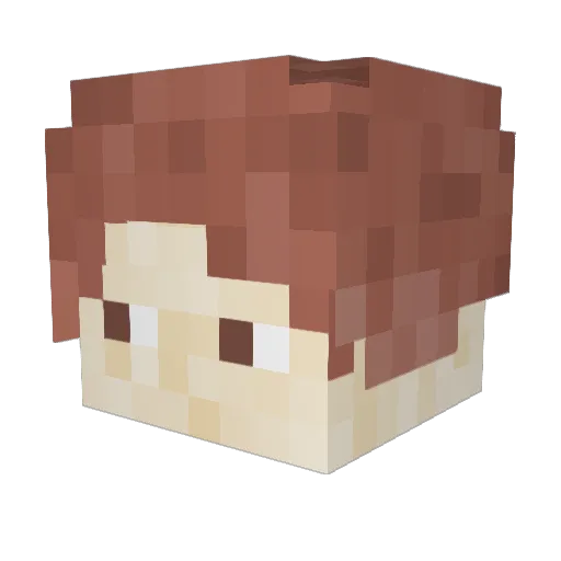 braeuernoah Minecraft avatar head, 3D render