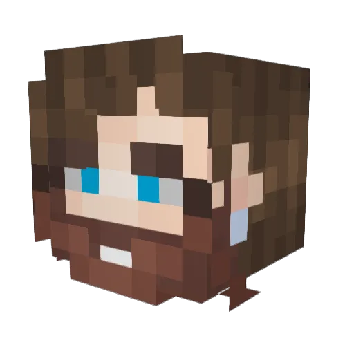 brafenschlug Minecraft avatar head, 3D render