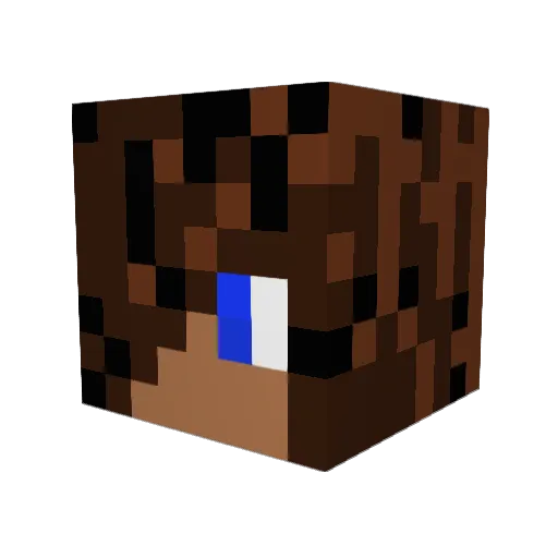 brafo123 Minecraft avatar head, 3D render