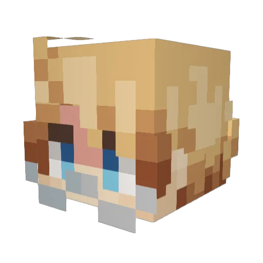 braginsky Minecraft avatar head, 3D render