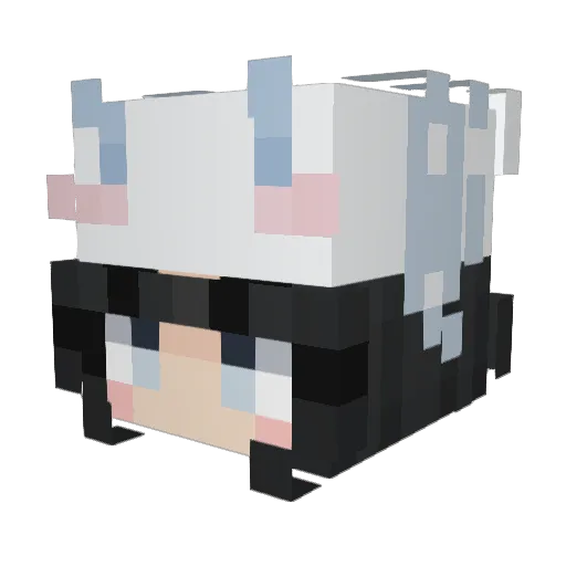 braiere Minecraft avatar head, 3D render
