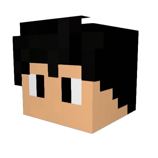 brain_frfr Minecraft avatar head, 3D render
