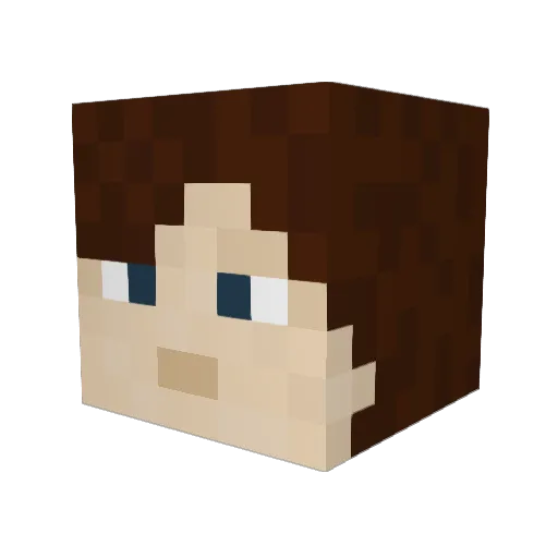 brain_matter Minecraft avatar head, 3D render