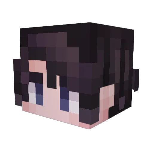 braincramps Minecraft avatar head, 3D render