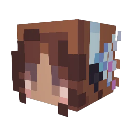 brainfetti Minecraft avatar head, 3D render
