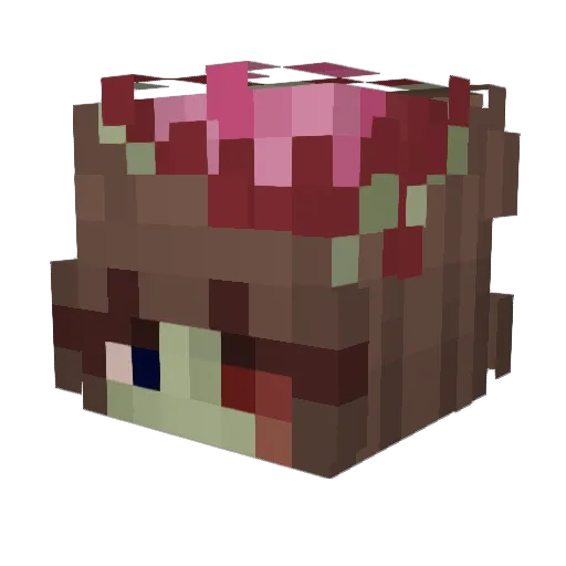 brainr0tjuice Minecraft avatar head, 3D render