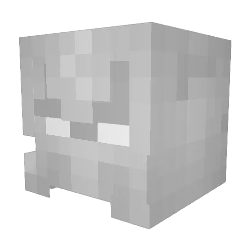brainrotsoup Minecraft avatar head, 3D render