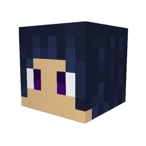 brainstew7 Minecraft avatar head, 3D render