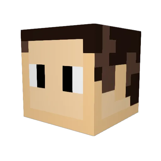 bralfy Minecraft avatar head, 3D render