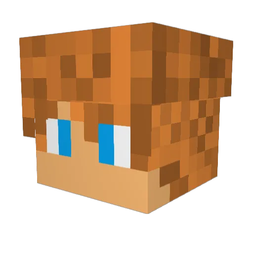 brandazn Minecraft avatar head, 3D render