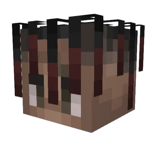brandobrando Minecraft avatar head, 3D render