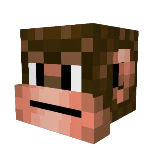 brandon_888 Minecraft avatar head, 3D render