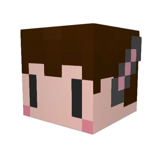 brandon_taxi Minecraft avatar head, 3D render