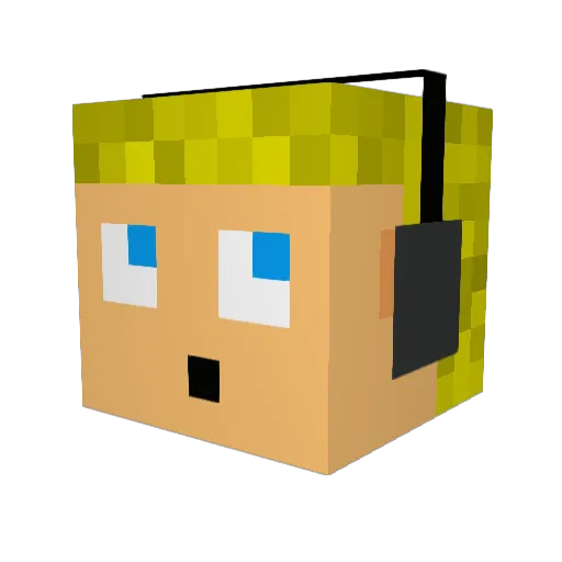 brandonbas12 Minecraft avatar head, 3D render