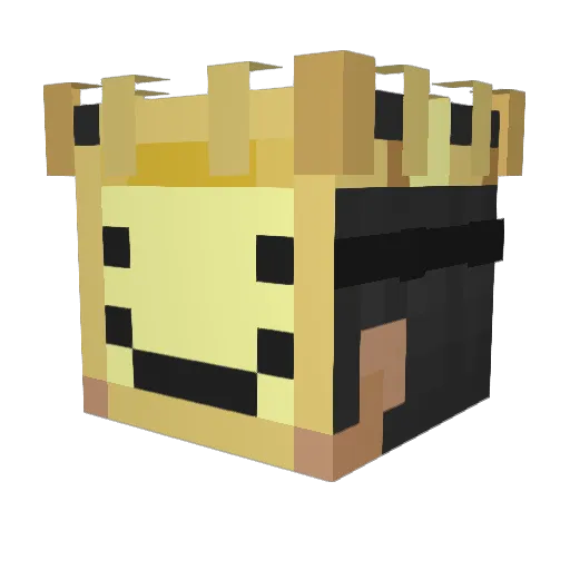brandoniscool123 Minecraft avatar head, 3D render