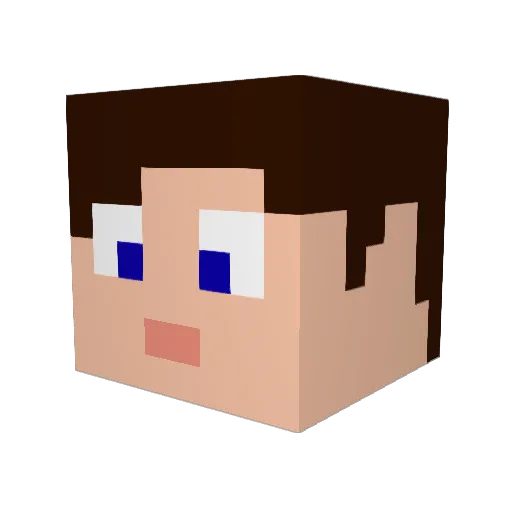 brandx96 Minecraft avatar head, 3D render