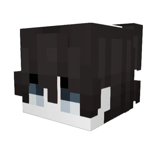 brandyaru Minecraft avatar head, 3D render