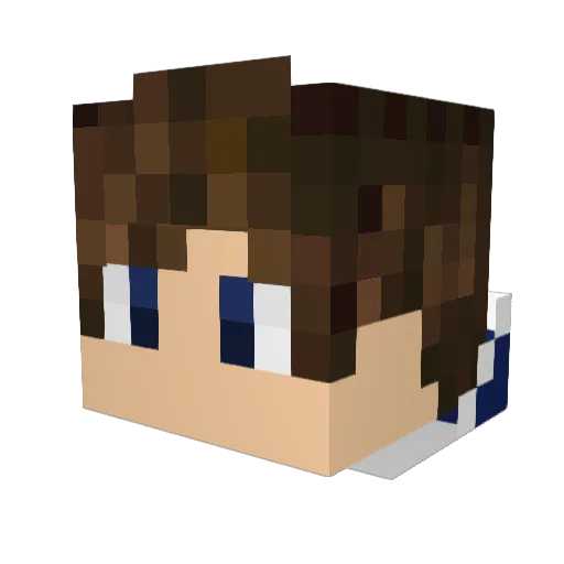 brandymx Minecraft avatar head, 3D render