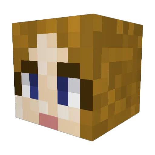 branflake__ Minecraft avatar head, 3D render