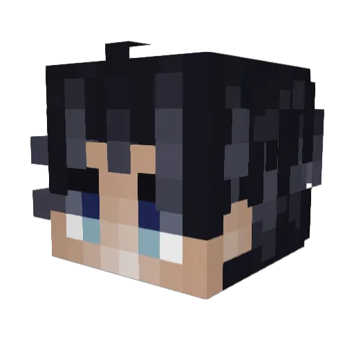 brantleyStidham Minecraft avatar head, 3D render