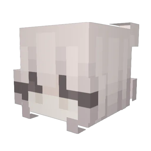 brarye Minecraft avatar head, 3D render