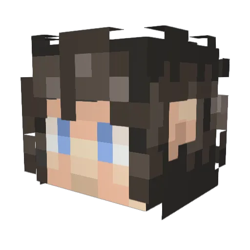 brasao Minecraft avatar head, 3D render