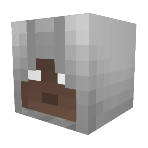 bratrat06 Minecraft avatar head, 3D render