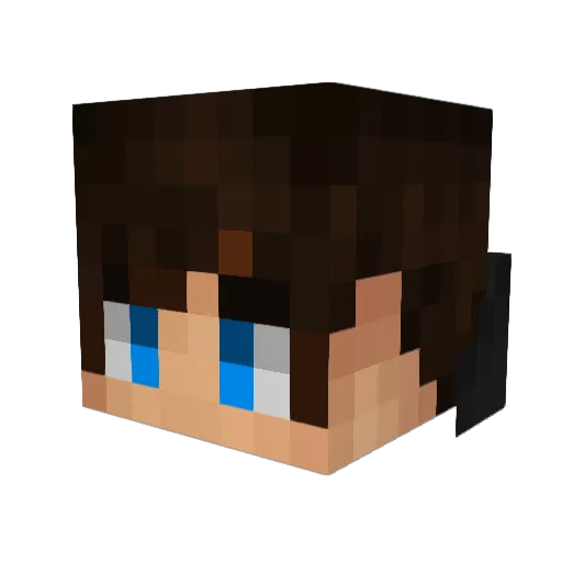 brave_fish Minecraft avatar head, 3D render