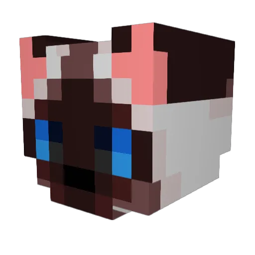 bravecat299 Minecraft avatar head, 3D render