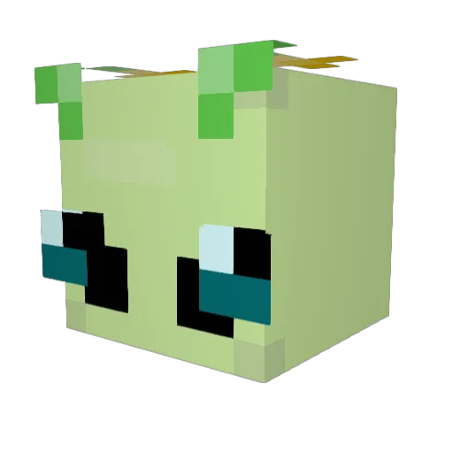 bravelords189 Minecraft avatar head, 3D render