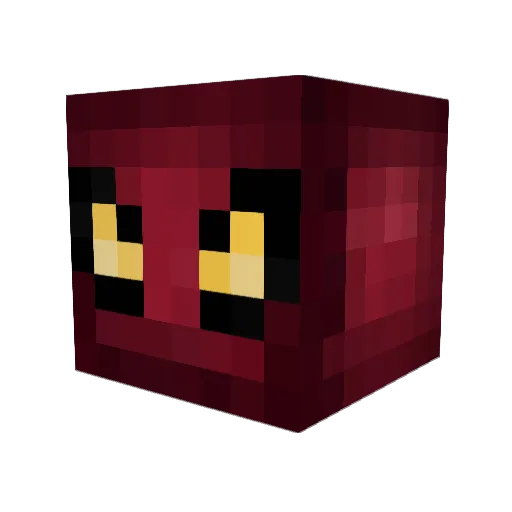 bravesbaseball23 Minecraft avatar head, 3D render