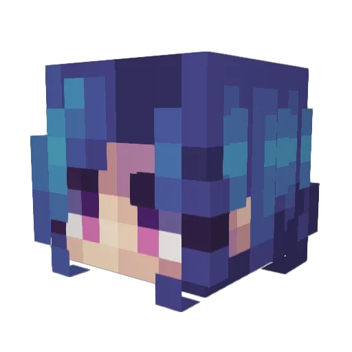 braxelon Minecraft avatar head, 3D render
